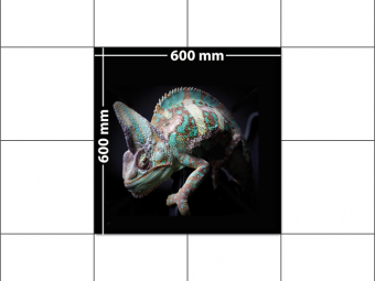 panele podłogowe 60 x 60 Kameleon