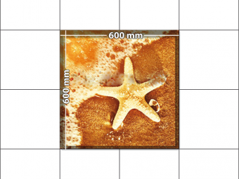panele podłogowe 60 x 60 rozgwiazda